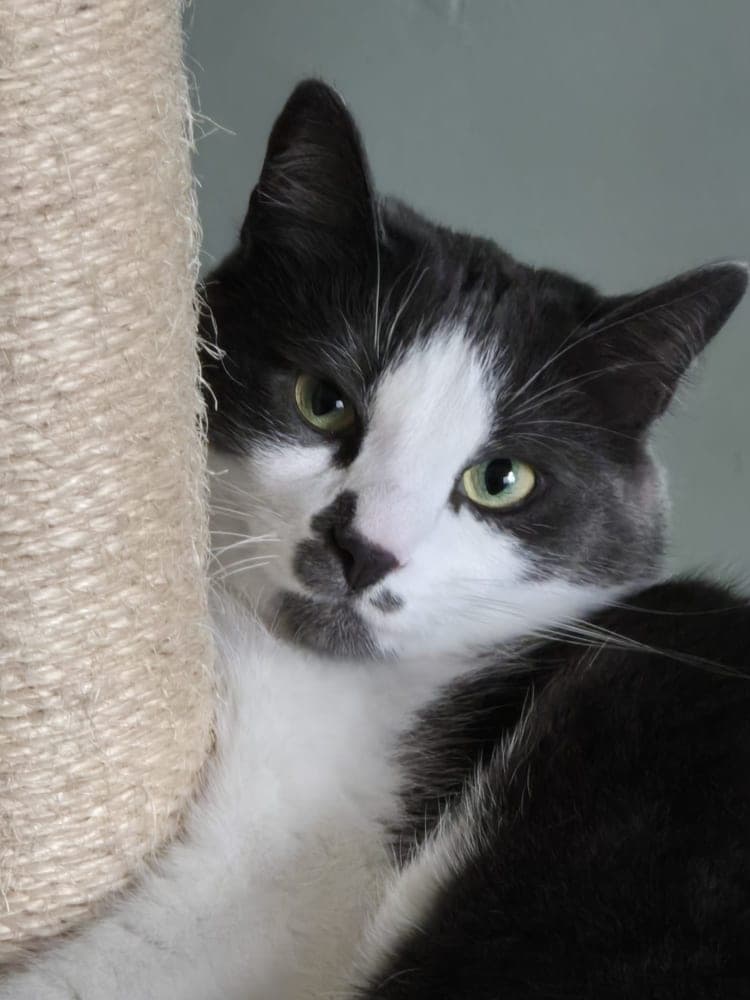my son Ollie